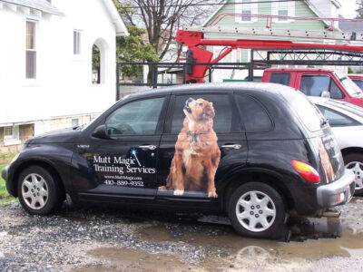 Dog Training